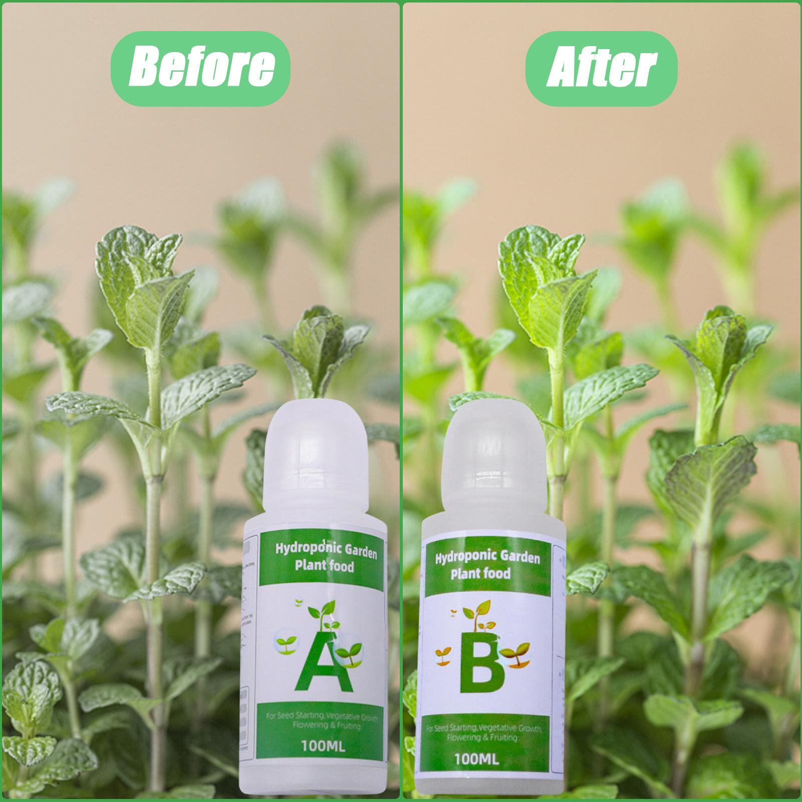 Zestaw nawozów hydroponicznych – Nutrient Solution Ab recenzja i cena