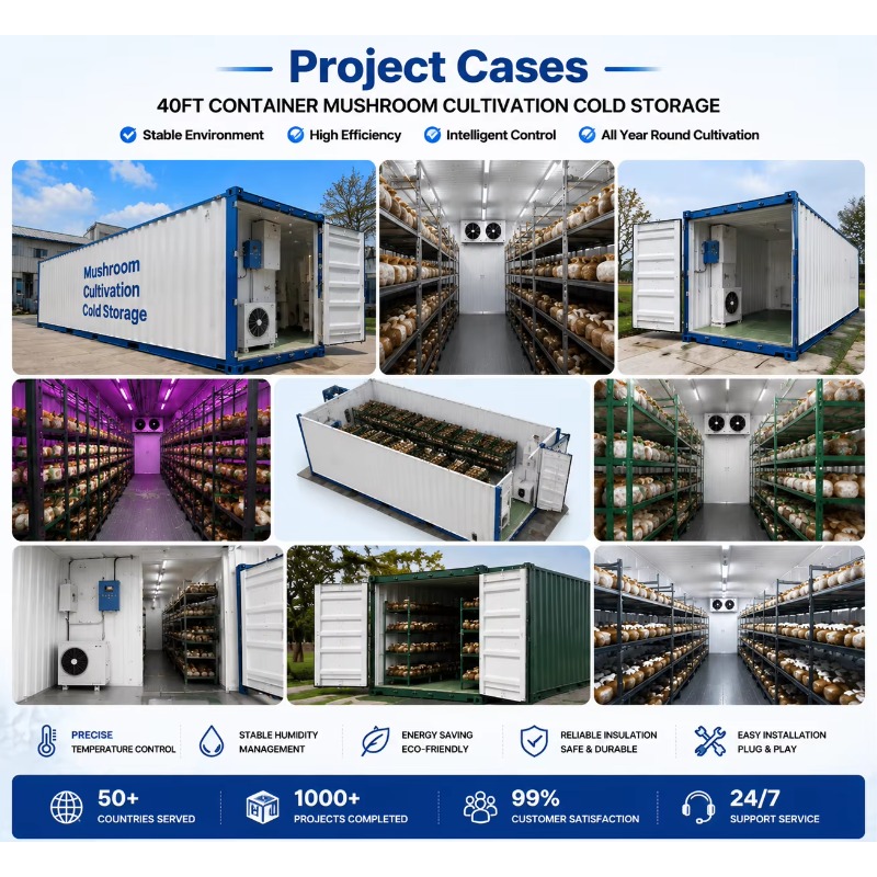 Hydroponiczna farma kontenerow – Urban Farming Projects recenzja i cena