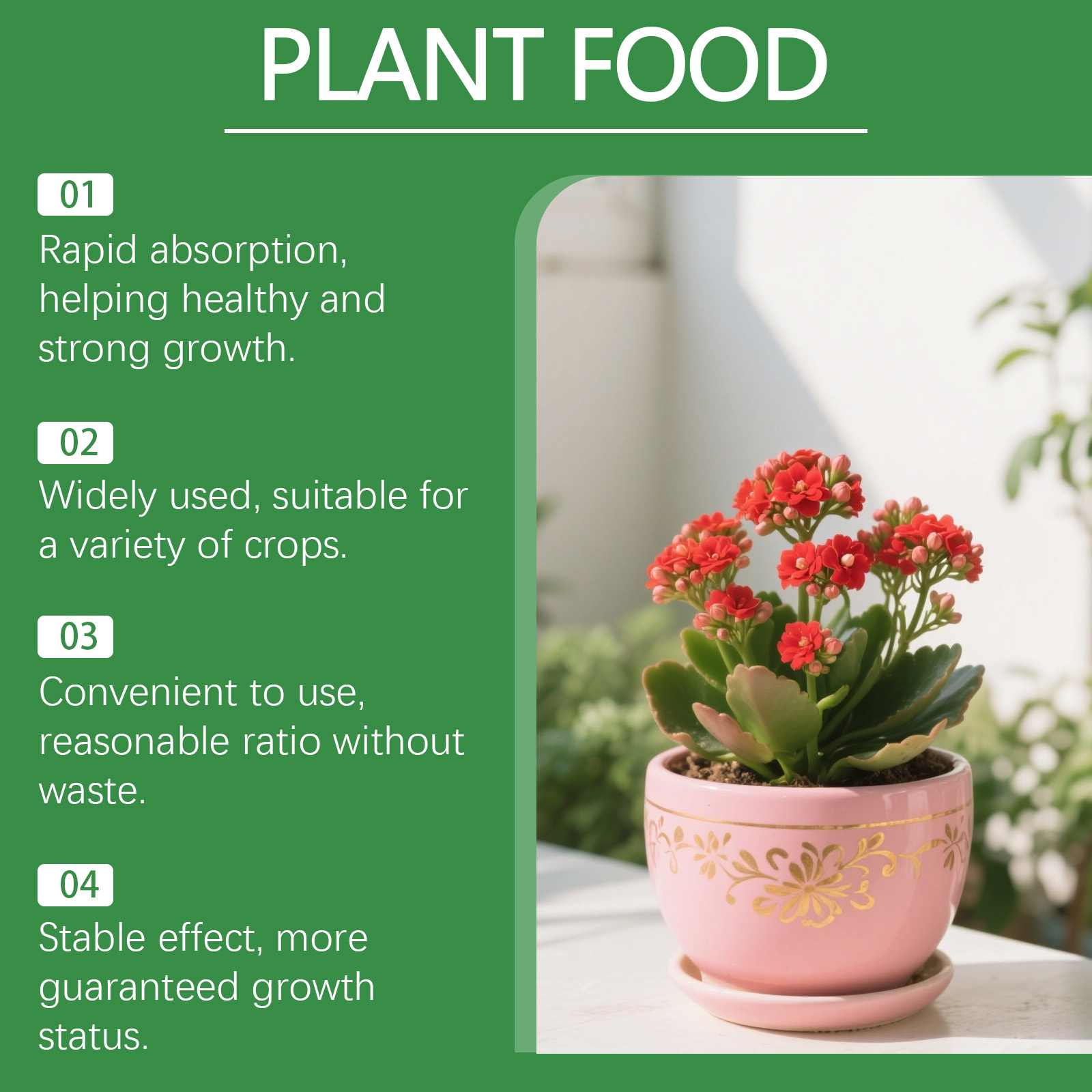 MoonSpry Hydroponic Nutrient S – Nutrient Solution Ab recenzja i cena