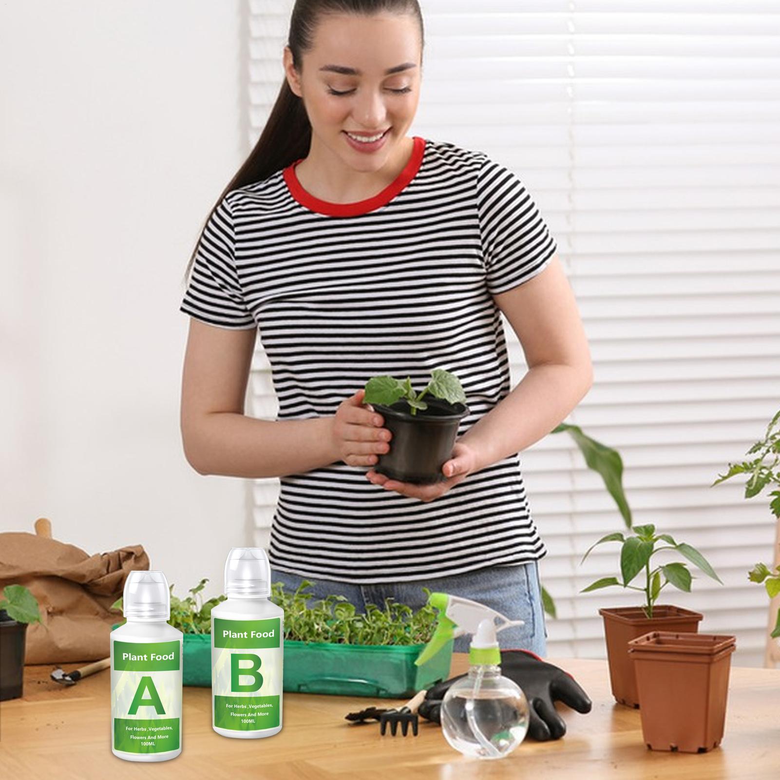 Zestaw nawozów hydroponicznych – Nutrient Solution Ab recenzja i cena